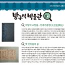 선세 이미지