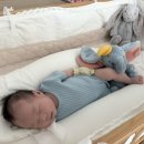 카페60CM | [내돈내산] 안데르센 올리브 하이가드(60cm) 화이트 후기