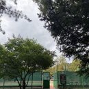 인재개발원 테니스장 이미지