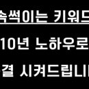 디노스토어 - 서구 | 디노스토어