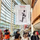 제22회 대구국제오페라축제 | 미성숙한 두 사람의 사랑 이야기 - 오페라 &lt;카르멘&gt; 관람 후기 (제22회 대구국제오페라축제)