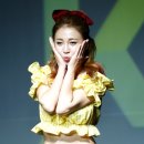 새동아투어 이미지
