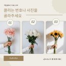 (주) 타로