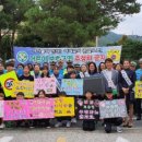 주정차80 이미지