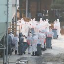 정의농장 이미지