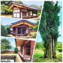 충효사 | 밀양, 어변당(魚變堂)ㆍ한국의 아름다운 정자(亭子)