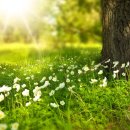 햇살 좋은날 이미지