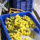 흥인주유소 이미지