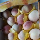 삼태산 농장 이미지