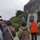 목포랑시티투어 이미지