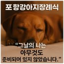 이별공간 | 포항강아지장례식 갑작스런 이별, 포항에서 강아지를 보내며 후회 없이 선택한 이유