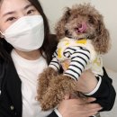 구래동 언더펌 아이엘뷰티에서 인형눈되기 + 주차안내