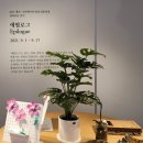 2021 에코-크리에이터 양성전문과정 결과공유 전시 <에필로그> | 에코-크리에이터 양성 전문과정 수료식 '에필로그'