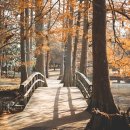 알리앙스빵집 이미지