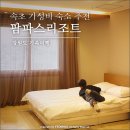 팜파스리조트 | 강원도 가족여행 : 속초 가성비 숙소 추천, 팜파스리조트 후기