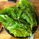 도래샘 | 의왕 백운호수 맛집<도래샘> 쌈밥정식 내돈내산 후기쌈밥의 신세계!무한리필 쌈밥에 반하다!