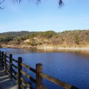 고모리보리밥 이미지