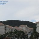 분당-319 이미지