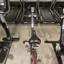 스페셜 바디 이미지