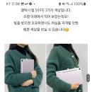 갤럭시 탭 s9 fe 플러스 무슨색 살까??.. 골라줘ㅓㅓ 이미지