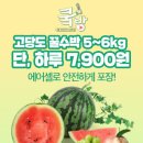 [행복한농부] 꿀수박 5-6Kg 1통 / 천도복숭아 4kg 21과-23과 / 샤인머스켓 1.5Kg내외(2-3송이) 이미지