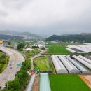 유성부동산중개사무소 이미지