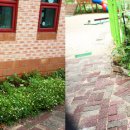 하랑유치원 이미지