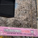 서부천 | [광고]인천 벚꽃명소 직접다녀온 후기[+신석체육공원, 서부천벚꽃길,인천석유화학벚꽃길 장단점 비교]