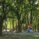 푸른빌딩 이미지