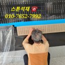 석곡(화산) 이미지
