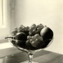 파주시장애인주간보호센터 이미지