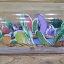 하우스농장 이미지