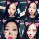 앙큼한고양이