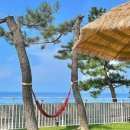 쉼표고성2 이미지