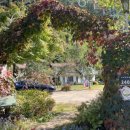 하이디펜션 이미지