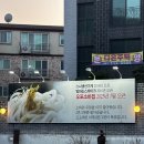 [신현동 맛집] 깊은 맛이 느껴지는 곳 오포우동소바｜겨울철 맛집 추천 내돈내산 후기