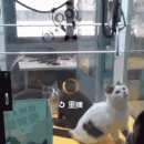 D00605 이미지