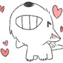 디스크독 연구소 이미지