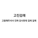 반스네일