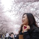 경화어시장 네이버블로그