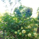 삼주1공인중개사사무소 이미지