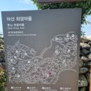 영상 | FPV 드론으로 촬영한 마을 소개 영상 제작 후기