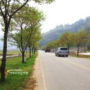 영해자동차정비 | 나들이길에 들려보는 충북 보은 풍림정사(충북여행)