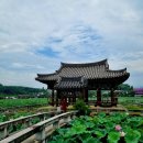 유등연지 둘레길 이미지