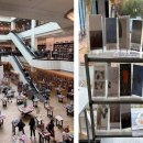 동서약품 이미지