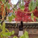 산아래박달재석갈비 이미지