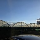 향기포도농원 이미지