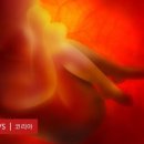 위성전자 이미지