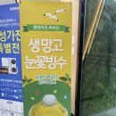 팜앤리