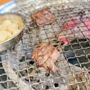 달구벌식당 이미지